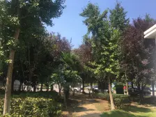 新上好房 优质户型 阁楼有露台 卫生间 宝龙毓秀