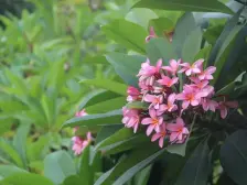 4层别墅带车位花园有40方一手业主税少