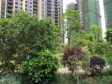 政府体育公园旁 精装一房一厅 诚意出售