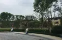 融创玖棠府实景图