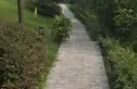 清江·尚玲珑实景图