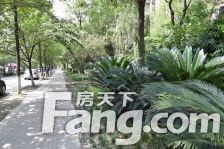 橙郡一期 3室2厅 东南 西南