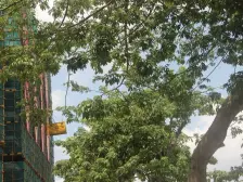 万科金色家园两房出售朝西南看房约