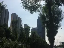 中建锦绣广场二期 1室1厅 北