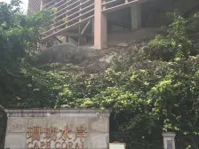急急急南滨路前排看江小高层南北通透门口双地铁
