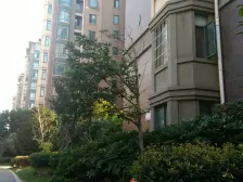 罗马象湖壹号 南北通透,采光好 装修好,环镜优美 视野好,诚心出售