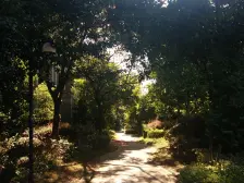 九里象湖城象湖公馆 南北通透,采光好 装修好,环镜优美 中间楼层