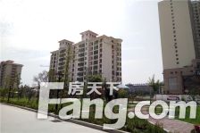 置城八号公馆,总高十一层洋房,低总价诚心出售。