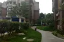 世纪滨江实景图