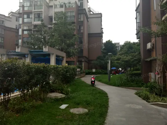 世纪滨江实景图