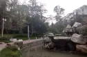 世纪滨江实景图