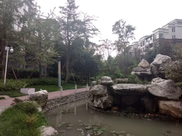 世纪滨江实景图