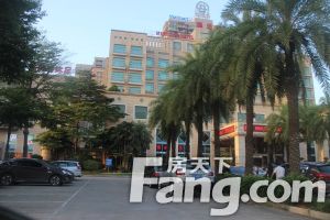 远离闹市喧嚣 尽享静谧人生