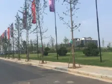 同赢企业总部港 1室0厅 北