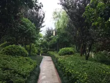 虹桥天花板,自住房,沿河横厅大阳台,等你来品鉴。