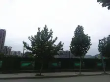 凤凰路旅游路汉峪金谷银座尚筑急售