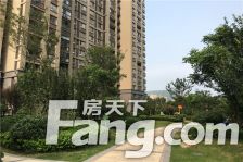 金鹰国际城 3室2厅 南