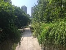 花园洋房朝中庭价格可刀