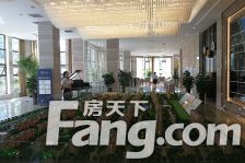 洋房好楼层大户型顶复全天采光