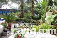 濠江景观 精装修 视野开阔 采光足