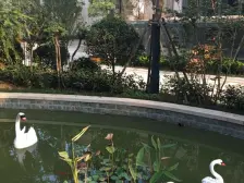 此房采光充足,业主急售,户型方正。有客户就可以谈