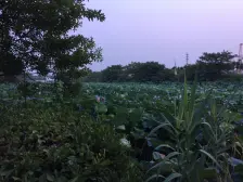 视野开阔+采光充足+诚意出售+领包入住