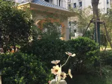 此房采光充足,业主急售,户型方正。有客户就可以谈