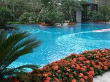 南北对流 通风采光好 校门口住宅