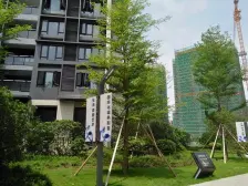 时代南湾南向江景房 房子满5,产权清晰