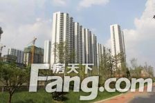 房子户型明亮,通风好,高楼层,无遮拦,视野开阔