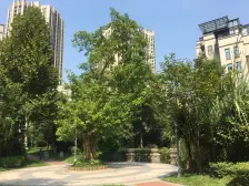 东南通透格局,视野宽阔,采光充足设,施配套齐全