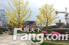 恒大御峰经典户型 楼层好 采光好 通透