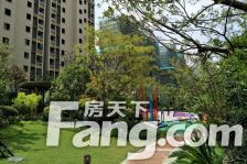 南北通透,全明全亮飞机户型,置换售房