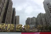 欣隆盛世外滩小区实景图