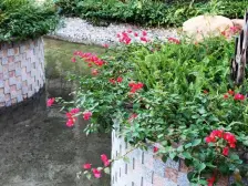 旭日盛世园 3室2厅 南