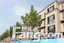 幸福小镇 证过二 东边户 广场旁 电梯洋房