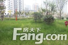 金雀新城B区三室好户型,全天采光视野好诚意出售