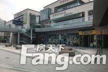 万科理想城二期·树院 3室1厅 西南