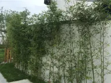 春风十里法式 联排别墅中间户,