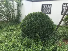 河道景观边上四层别墅丨可加装电梯丨低价出售