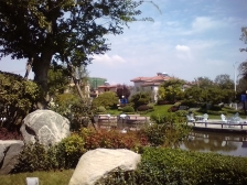 前后大院子 碧桂园物业 看房方便