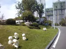 碧桂园凤凰城 4室2厅 南 北