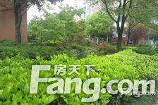 天安花园联排别墅边户 毛坯出售