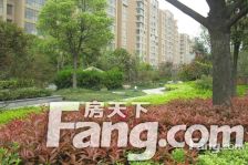 市区天安花园联排别墅精装修出售中