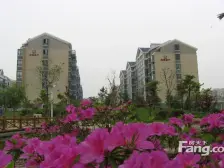 苏建花园空中别墅自带空中花园,精装修诚心出售。