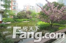 市区少有的联排别墅边套前后大院子