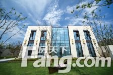 叠加别墅前后院子,中创南,位置好,地铁口,高架旁