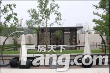 熙悦首排 中轴湖景房 东边户 全天采光