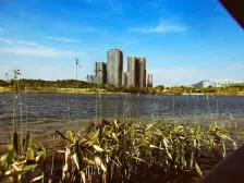 一线望湖4房业主诚心出让,户型方正采光好