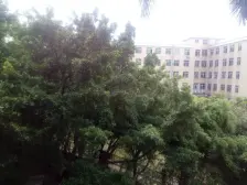 本人李海伦是均安乐远经纪,本房源信息可以咨询我。